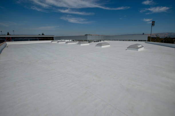 Roof Coating Services